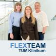 Logo FLEXTEAM